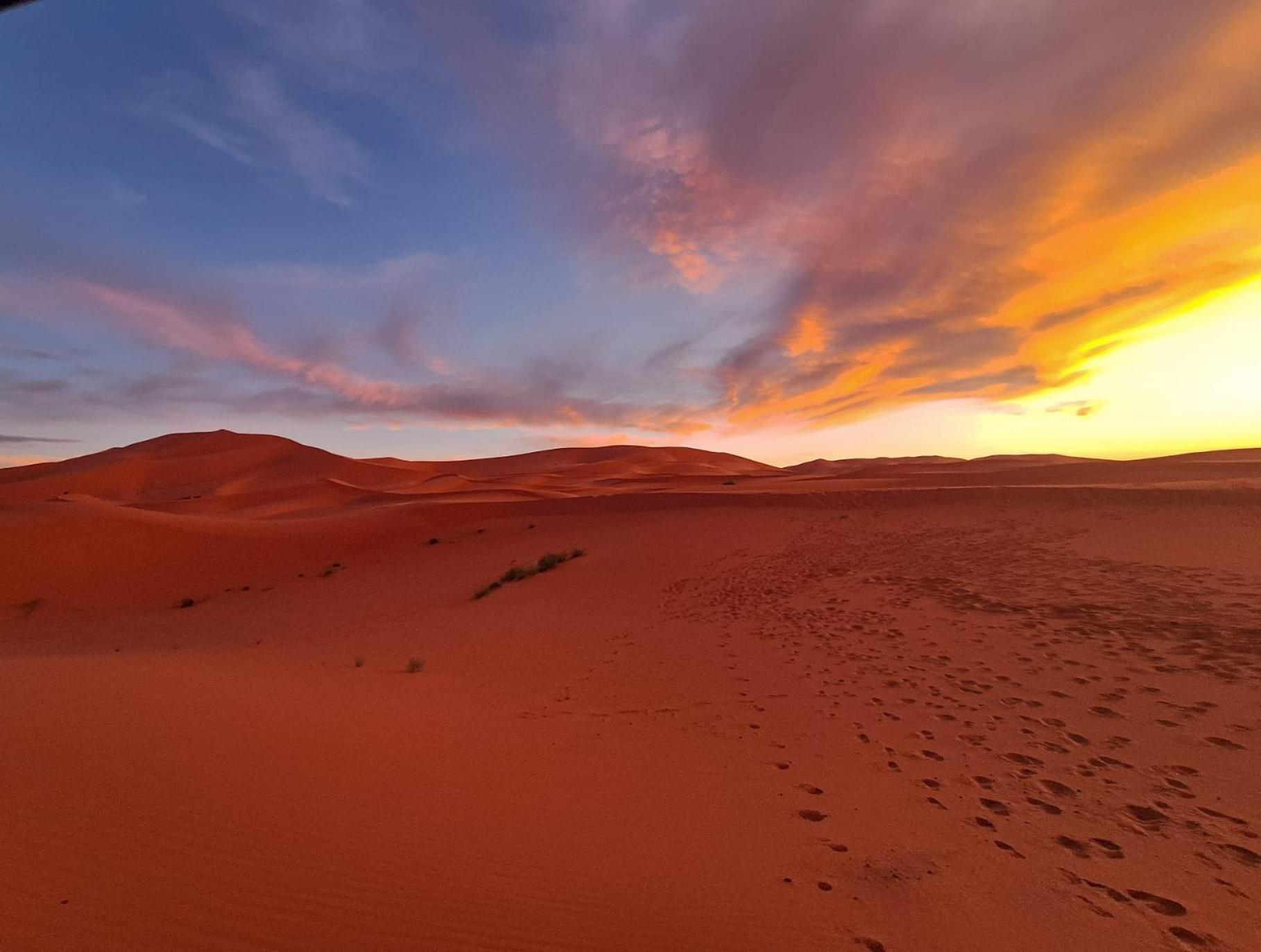 Maison Merzouga Guest House Eksteriør bilde