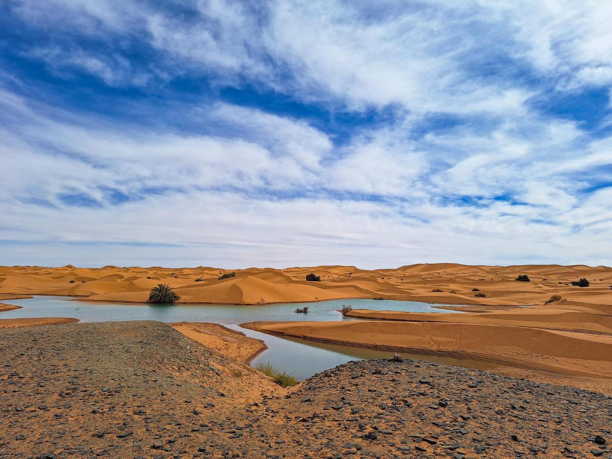 Maison Merzouga Guest House Eksteriør bilde