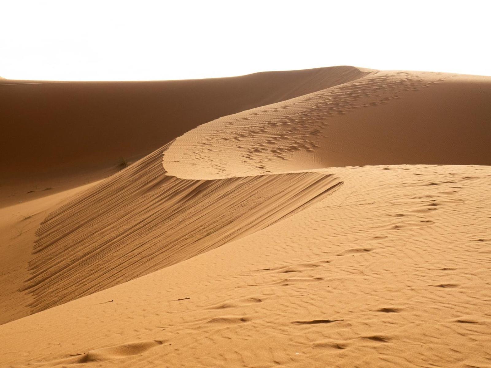 Maison Merzouga Guest House Eksteriør bilde