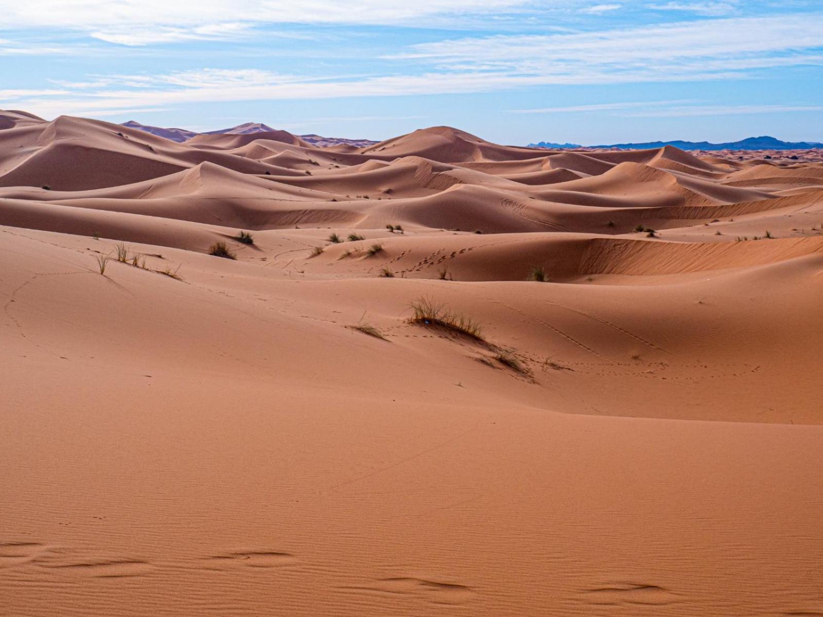 Maison Merzouga Guest House Eksteriør bilde